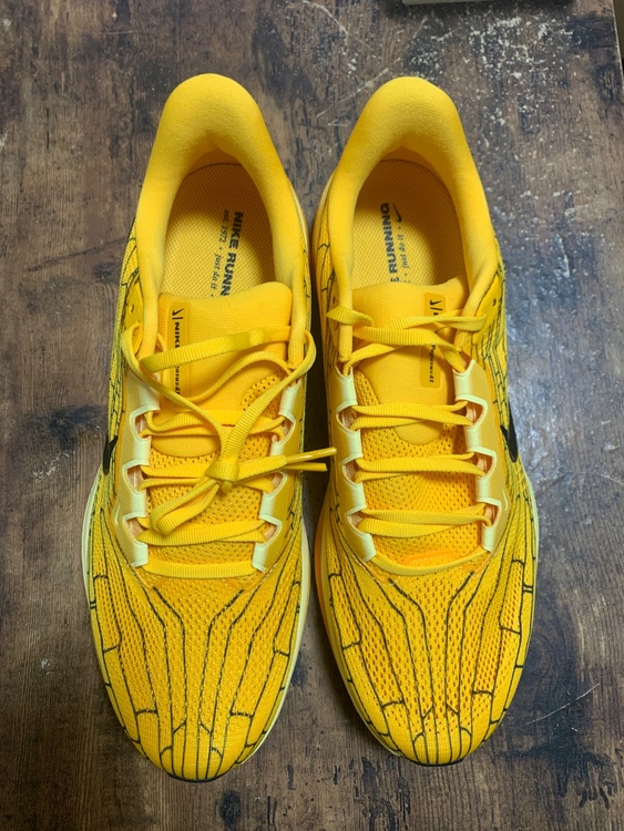 1H3257-700　エアズームペガサス 41 LV（古着・ファッション）の商品画像 - 査定依頼日：2026年3月30日 - 最高査定価格：100,000円