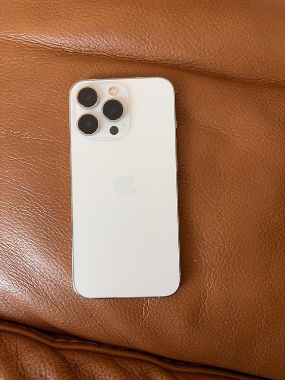iPhone iPhone 13 Pro 256GB docomo（スマホ）の商品画像 - 査定依頼日：2026年9月25日 - 最高査定価格：52,000円