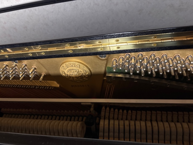 BL61 K833817（ピアノ・楽器・PA機材）の商品画像 - 査定依頼日：2026年2月8日 - 最高査定価格：20,000円