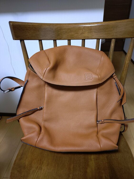 ロエベ　Tバッグパック　（ブランドバッグ）の商品画像 - 査定依頼日：2026年2月8日 - 最高査定価格：65,000円