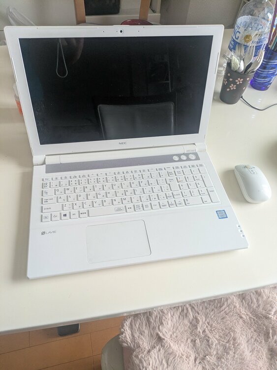 NEC　LAVIE PC-GN165ERAC（PC・タブレット）の商品画像 - 査定依頼日：2026年5月26日 - 最高査定価格：100,000円
