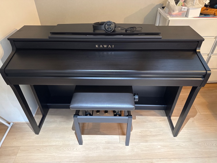 CA401（ピアノ・楽器・PA機材）の商品画像 - 査定依頼日：2026年4月7日 - 最高査定価格：5,000円