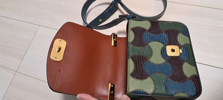 その他 クロエ （ブランドバッグ）の商品画像 - 査定依頼日：2025年6月1日 - 最高査定価格：45,000円