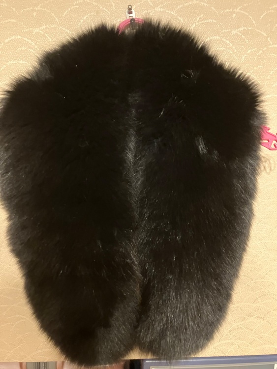 フォックスショール（美術品・骨董品）の商品画像 - 査定依頼日：2025年10月26日 - 最高査定価格：2,000円