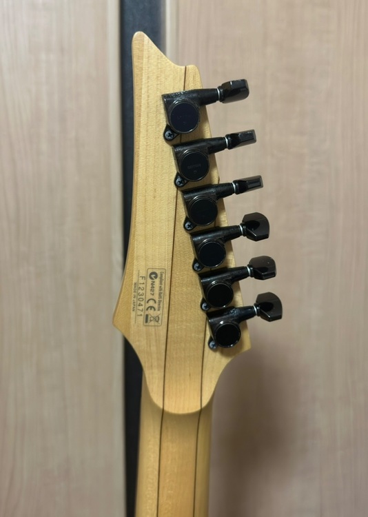 RG2560ZEX（ピアノ・楽器・PA機材）の商品画像 - 査定依頼日：2025年8月10日 - 最高査定価格：80,000円