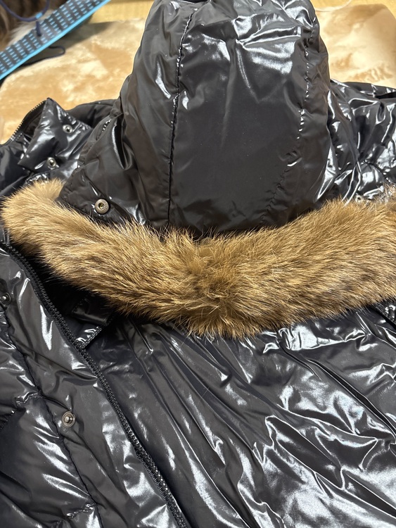 ダウン（古着・ファッション）の商品画像 - 査定依頼日：2025年11月18日 - 最高査定価格：20,000円