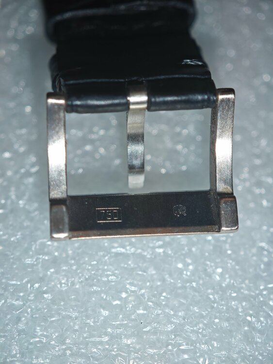 その他 その他 ピエールクンツ　パピヨンロカ　C004HMRL（高級時計）の商品画像 - 査定依頼日：2026年1月7日 - 最高査定価格：800,000円