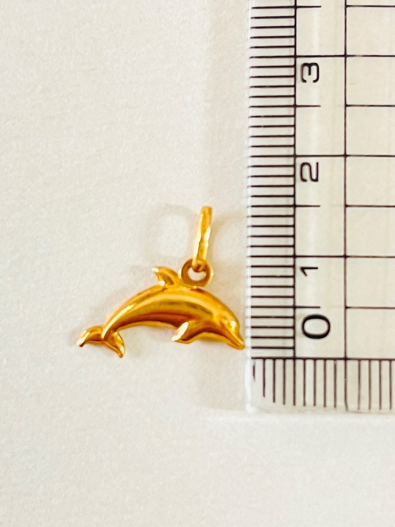 ペンダントトップ（金・貴金属）の商品画像 - 査定依頼日：2026年1月20日 - 最高査定価格：25,000円