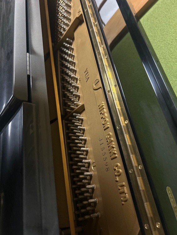 YUA 3155598（ピアノ・楽器・PA機材）の商品画像 - 査定依頼日：2026年5月12日 - 最高査定価格：110,000円