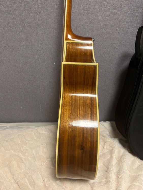 Ibanez ew20koent120（ピアノ・楽器・PA機材）の商品画像 - 査定依頼日：2025年12月10日 - 最高査定価格：22,000円