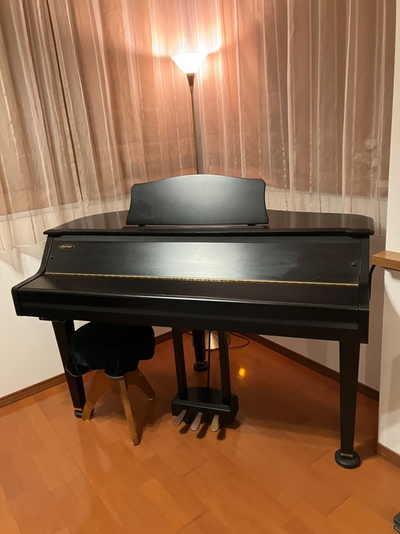 グランタッチ DGP-1（ピアノ・楽器・PA機材）の商品画像 - 査定依頼日：2026年5月23日 - 最高査定価格：1,500円