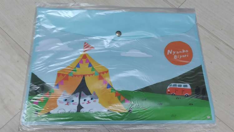 サンスター文具 フラットケース 19点セット（その他のおもちゃ）の商品画像 - 査定依頼日：2024年2月10日