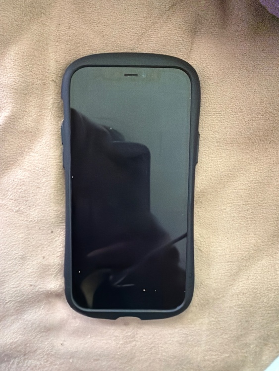 iPhone 12 Pro 512GB Softbank（スマホ）の商品画像 - 査定依頼日：2026年3月5日 - 最高査定価格：33,000円