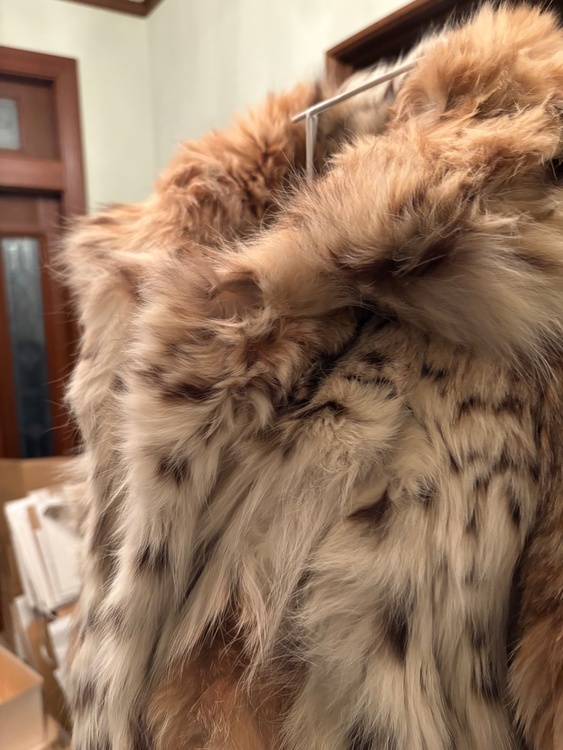 毛皮（古着・ファッション）の商品画像 - 査定依頼日：2025年12月30日 - 最高査定価格：12,000円