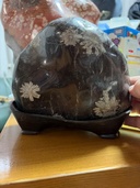 菊花石（美術品・骨董品）の商品画像 - 査定依頼日：2026年4月19日 - 最高査定価格：8,000円