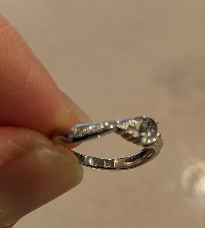 プラチナ　指輪（金・貴金属）の商品画像 - 査定依頼日：2026年2月26日 - 最高査定価格：14,000円