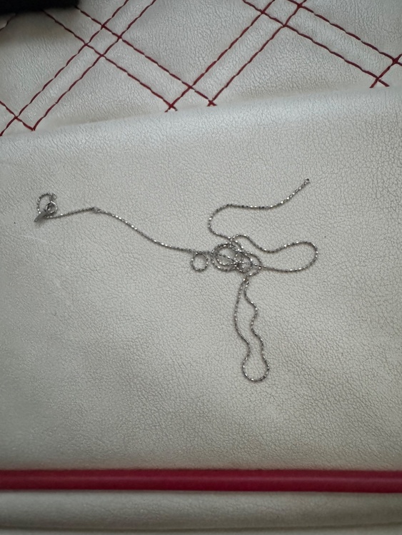 切れたチェーンや、ペンダントトップ（金・貴金属）の商品画像 - 査定依頼日：2026年4月3日 - 最高査定価格：300,000円