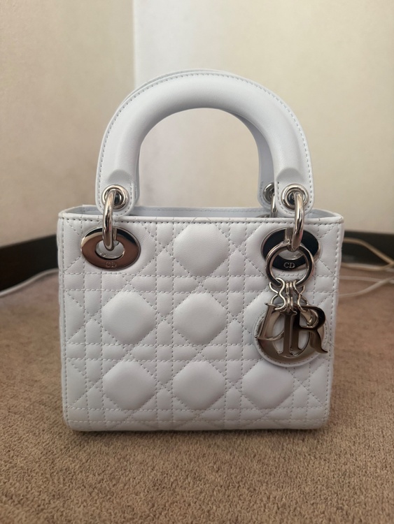 レディディオール（ブランドバッグ）の商品画像 - 査定依頼日：2026年2月24日 - 最高査定価格：330,000円