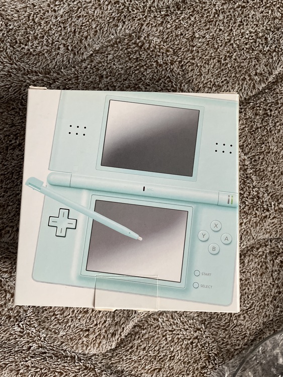  Nintend DS LITE（ゲーム機本体・ゲームソフト）の商品画像 - 査定依頼日：2021年4月8日 - 最高査定価格：600円