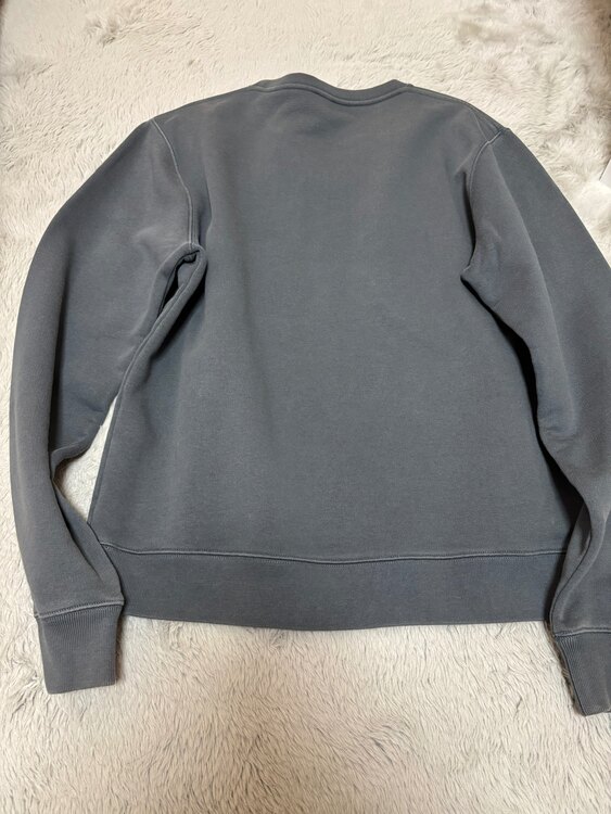 アナグラム　スウェット（古着・ファッション）の商品画像 - 査定依頼日：2025年2月2日 - 最高査定価格：15,000円