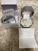 Shelby N181-HE（金・貴金属）の商品画像 - 査定依頼日：2026年3月19日 - 最高査定価格：80,000円