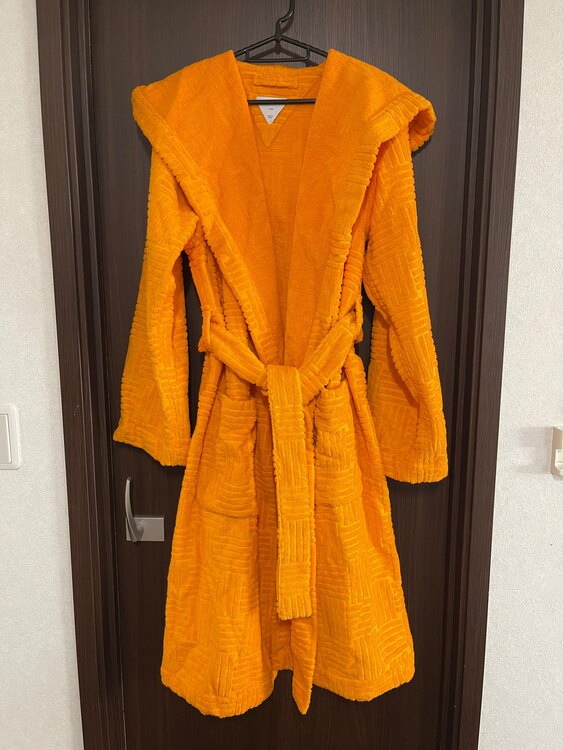 ボッテガ・ヴェネタ  （ブランドバッグ）の商品画像 - 査定依頼日：2025年2月1日 - 最高査定価格：3,000円