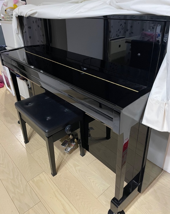 b113sc2（ピアノ・楽器・PA機材）の商品画像 - 査定依頼日：2026年4月20日 - 最高査定価格：20,000円
