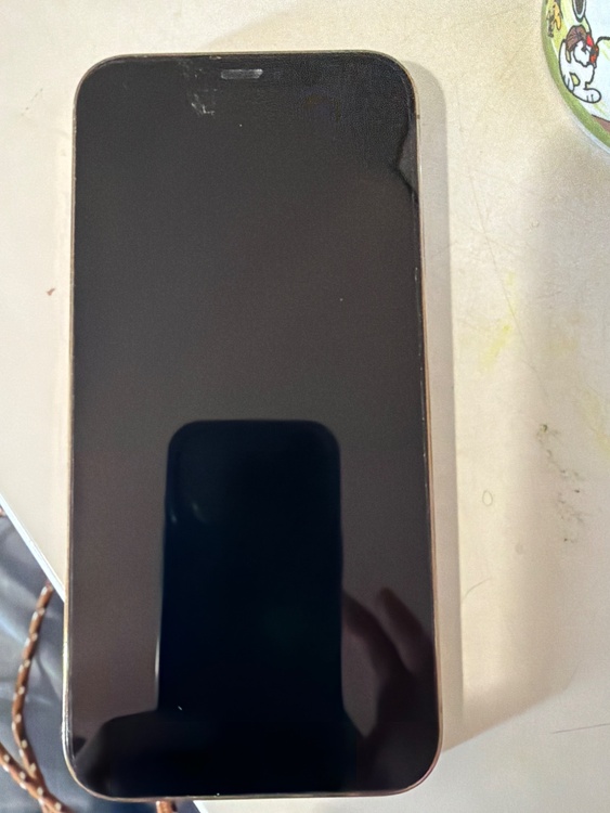 iPhone 12 Pro Max 256GB docomo（スマホ）の商品画像 - 査定依頼日：2026年3月24日 - 最高査定価格：30,000円