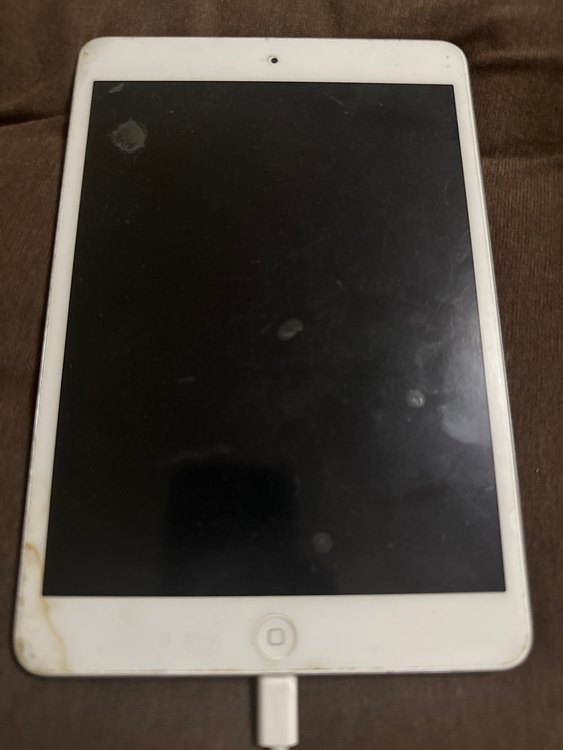 iPad mini（PC・タブレット）の商品画像 - 査定依頼日：2023年2月2日