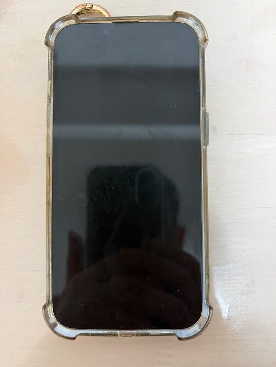 iPhone 13 Pro 512GB SIMフリー（スマホ）の商品画像 - 査定依頼日：2026年2月21日 - 最高査定価格：51,000円