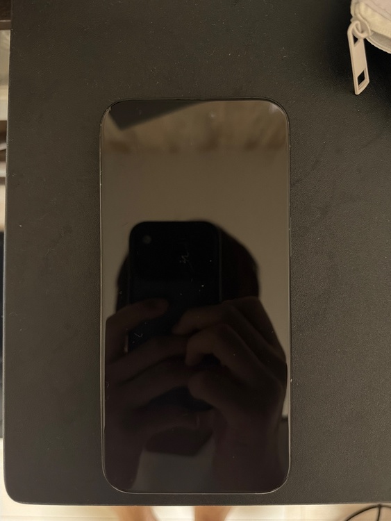 iPhone iPhone 15 Pro Max 256GB docomo（スマホ）の商品画像 - 査定依頼日：2026年9月21日 - 最高査定価格：99,000円