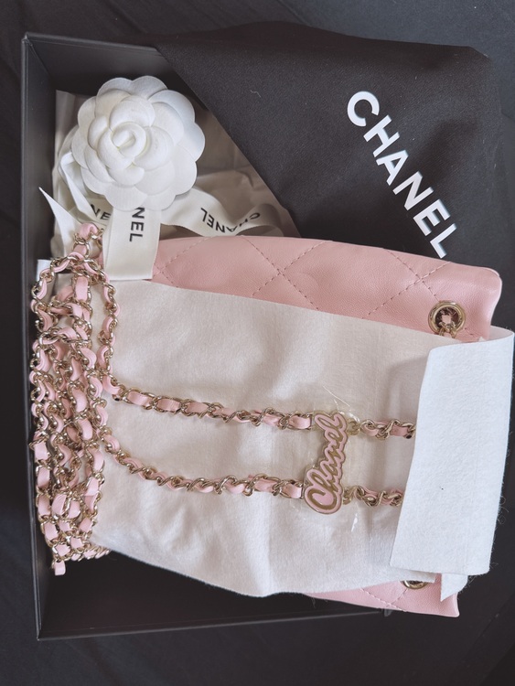 リュック（ブランドバッグ）の商品画像 - 査定依頼日：2025年9月21日 - 最高査定価格：420,000円