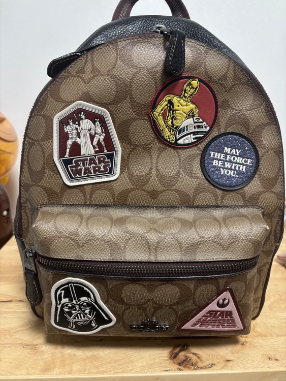 リュック（ブランドバッグ）の商品画像 - 査定依頼日：2026年2月5日 - 最高査定価格：5,000円