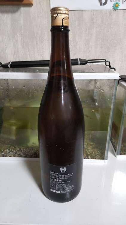 本丸（お酒）の商品画像 - 査定依頼日：2024年12月25日 - 最高査定価格：31,000円