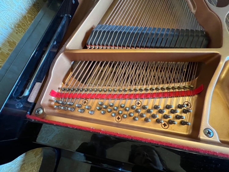 C3AE6004374（ピアノ・楽器・PA機材）の商品画像 - 査定依頼日：2025年11月29日 - 最高査定価格：3,000円