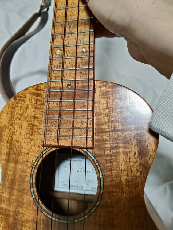 CS-200f/LTD（ピアノ・楽器・PA機材）の商品画像 - 査定依頼日：2026年6月28日 - 最高査定価格：40,000円
