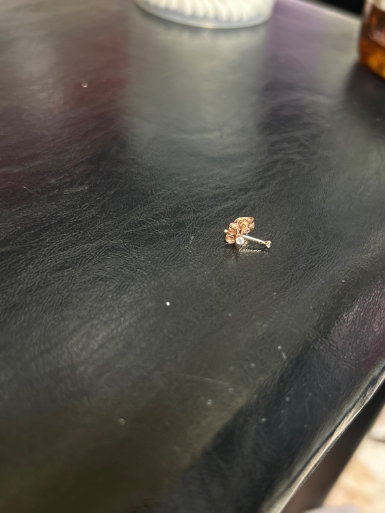 ピアス（宝石）の商品画像 - 査定依頼日：2025年12月29日 - 最高査定価格：10,000円