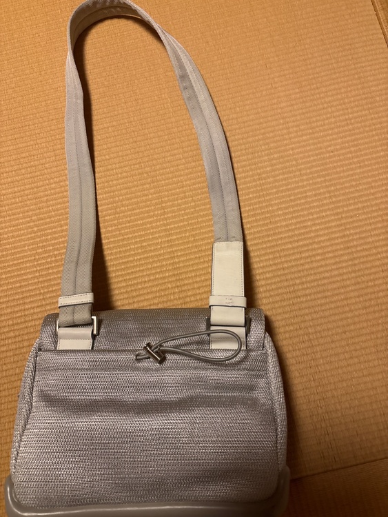 プラダ  （ブランドバッグ）の商品画像 - 査定依頼日：2026年2月25日 - 最高査定価格：20,000円