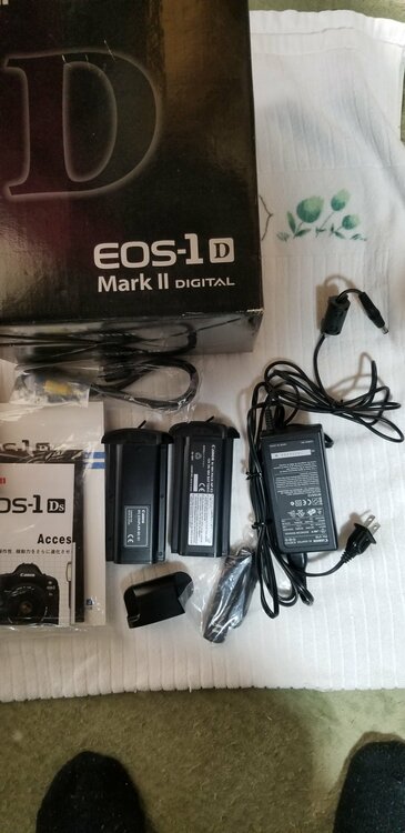 Canon EOS 1D MarkII キヤノン（カメラ）の商品画像 - 査定依頼日：2026年4月15日 - 最高査定価格：15,100円
