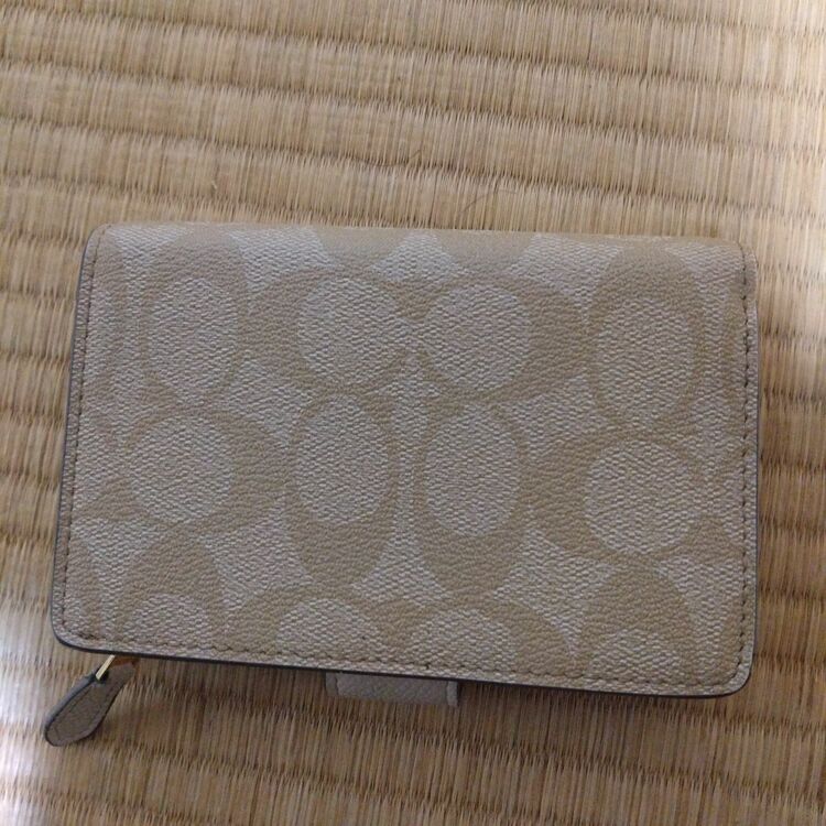 その他 コーチ （ブランドバッグ）の商品画像 - 査定依頼日：2025年8月21日 - 最高査定価格：4,000円