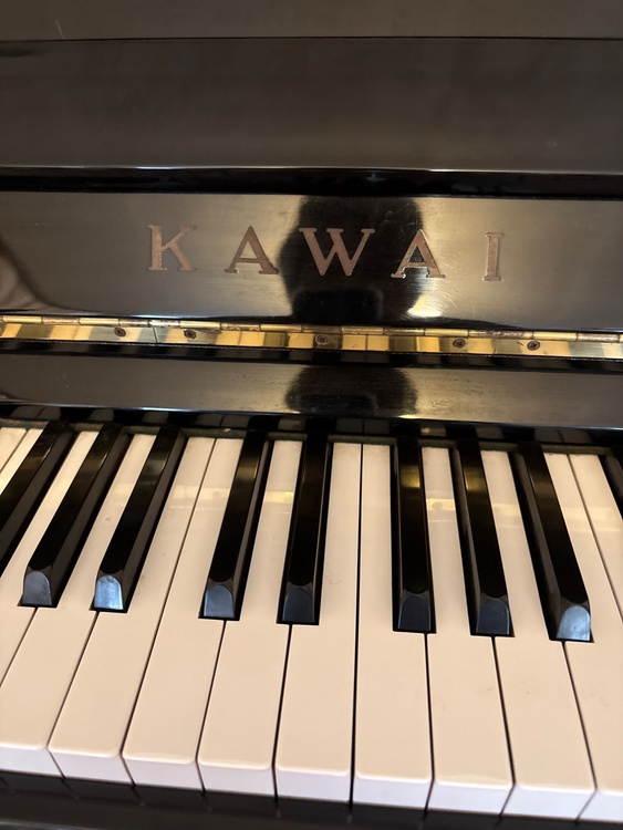 BL31（ピアノ・楽器・PA機材）の商品画像 - 査定依頼日：2026年2月28日 - 最高査定価格：10,000円