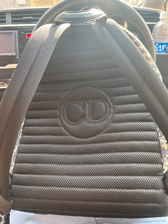 ディオール  （ブランドバッグ）の商品画像 - 査定依頼日：2025年12月8日 - 最高査定価格：250,000円