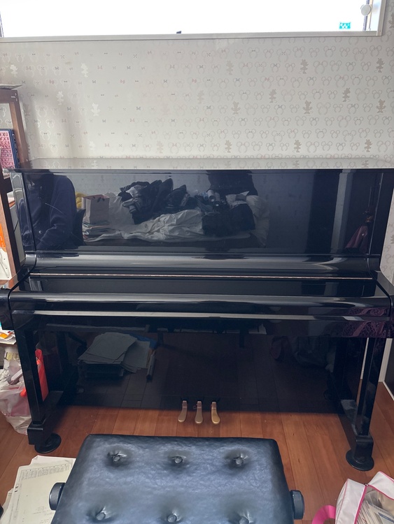 BS-1N（ピアノ・楽器・PA機材）の商品画像 - 査定依頼日：2026年3月7日 - 最高査定価格：1,000円