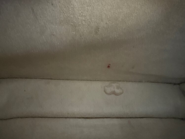 フェンディ  （ブランドバッグ）の商品画像 - 査定依頼日：2025年4月24日 - 最高査定価格：60,000円