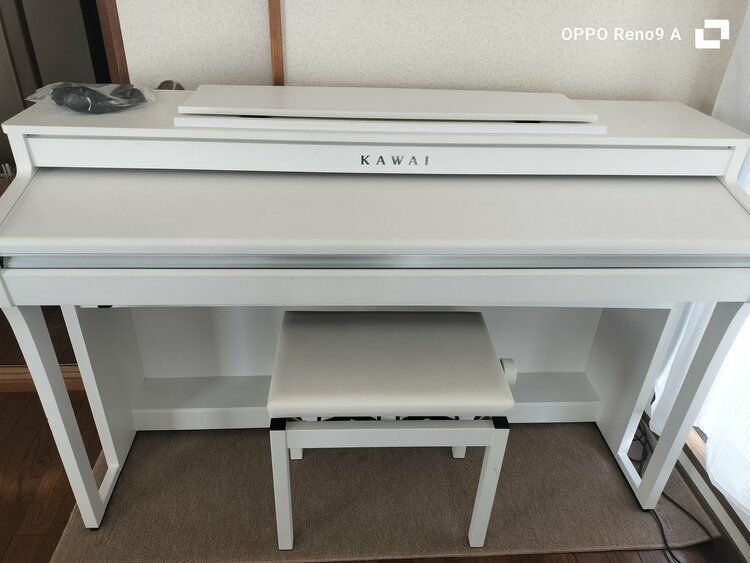 CA4900GP（ピアノ・楽器・PA機材）の商品画像 - 査定依頼日：2026年1月10日 - 最高査定価格：40,000円