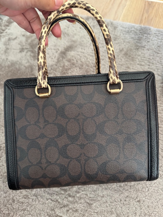 その他 コーチ （ブランドバッグ）の商品画像 - 査定依頼日：2025年6月21日 - 最高査定価格：8,000円