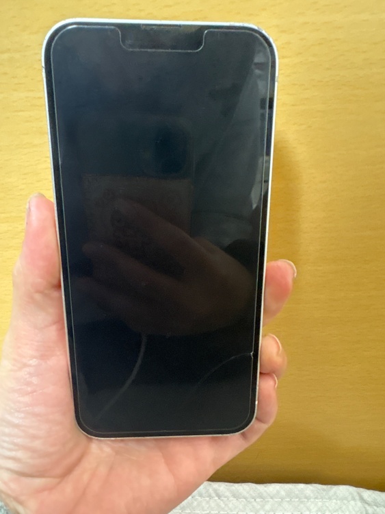 iPhone iPhone 13 128GB SIMフリー（スマホ）の商品画像 - 査定依頼日：2026年8月17日 - 最高査定価格：40,000円