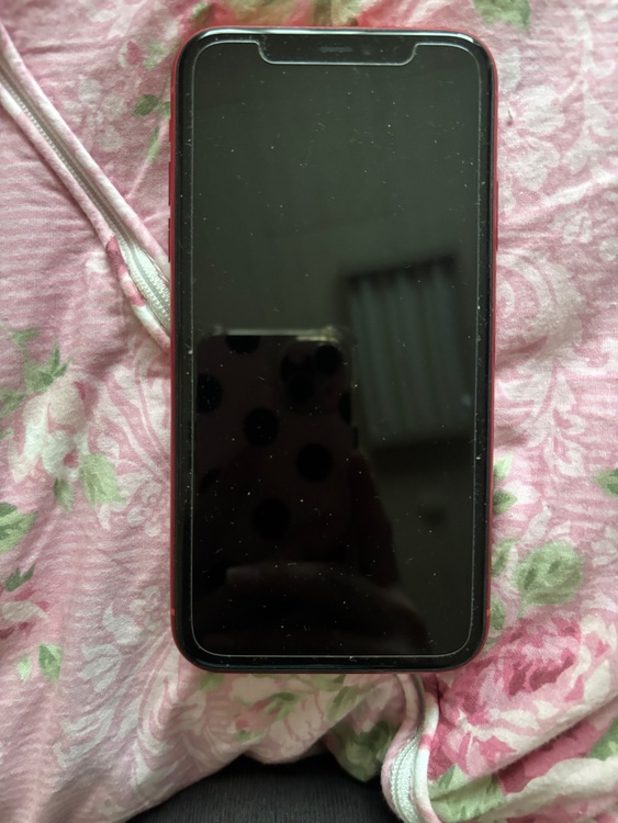 iPhone1164GB（スマホ）の商品画像 - 査定依頼日：2026年5月19日 - 最高査定価格：19,000円
