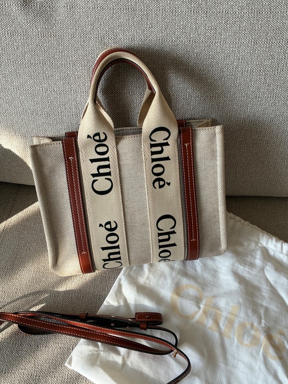 その他 クロエ （ブランドバッグ）の商品画像 - 査定依頼日：2026年1月10日 - 最高査定価格：55,000円