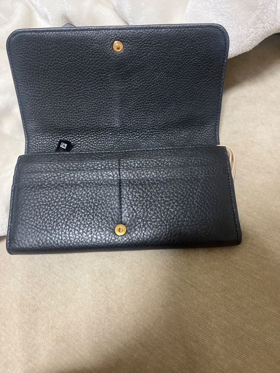 その他 クロエ （ブランドバッグ）の商品画像 - 査定依頼日：2025年8月8日 - 最高査定価格：10,000円